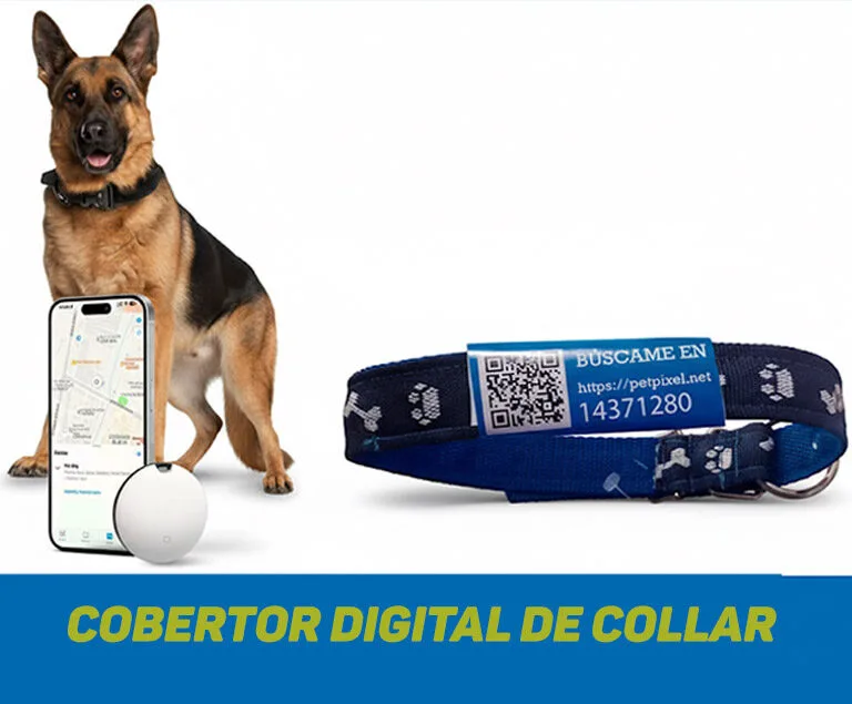 CTIPO5