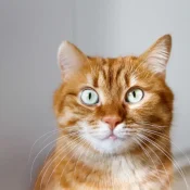 shutterstock_2474840569-scaled